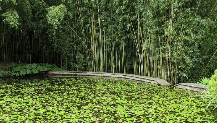 John P. Humes Japanese Stroll Garden, United States